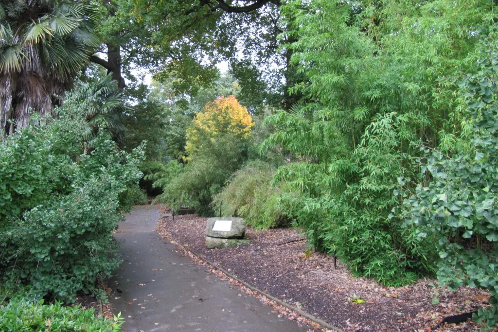 Bamboo Garden at Kew Gardens