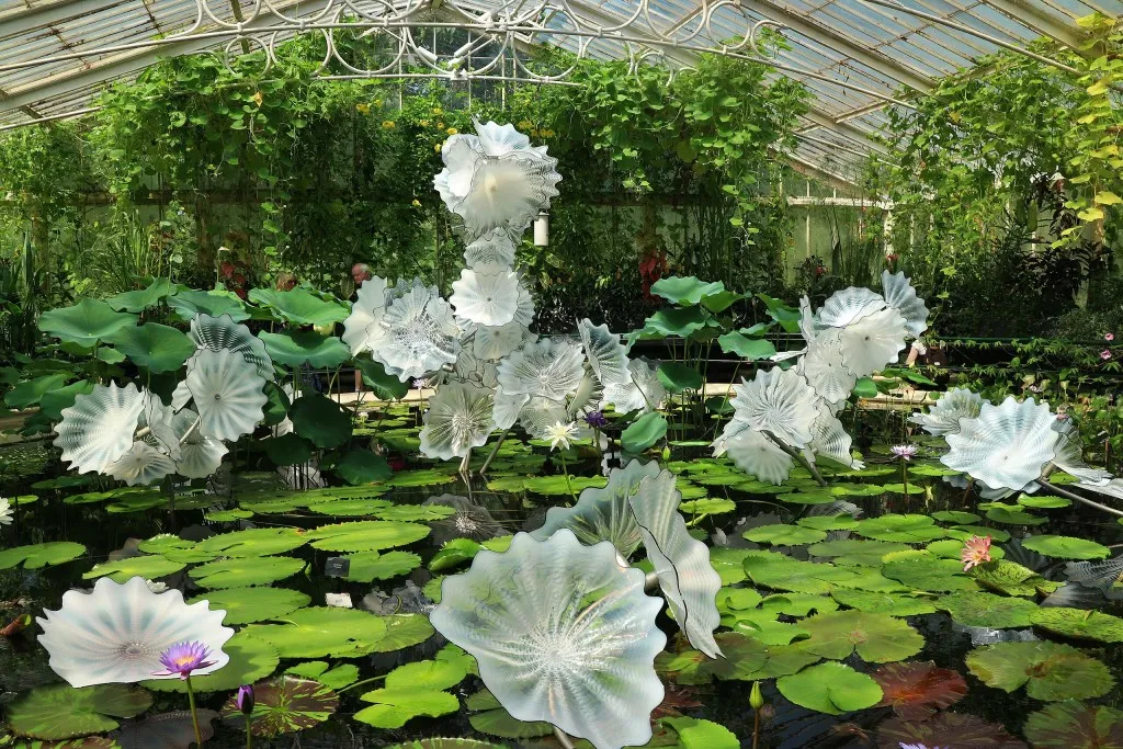 Waterlily Pond at Kew Gardens